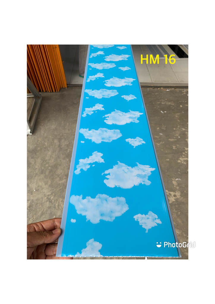 HM016